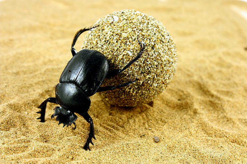 Фото: istockphoto.com Фото: istockphoto.com