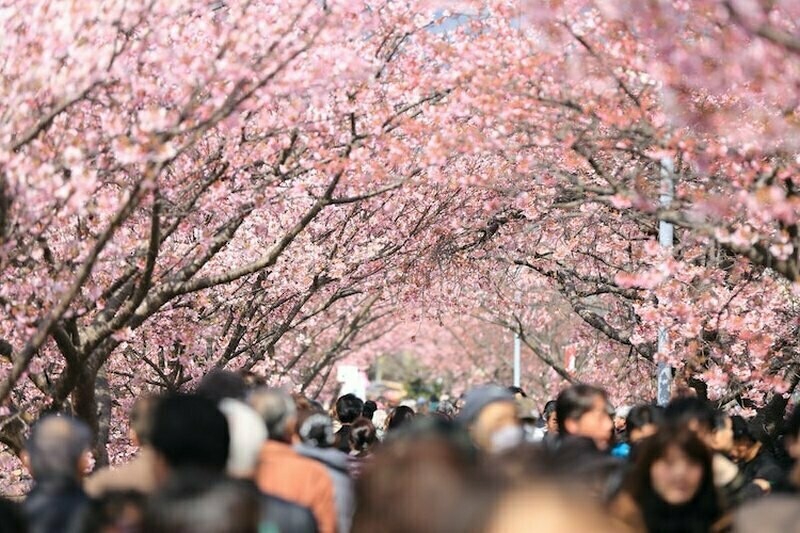 Фото: kazuend/unsplash.com Фото: kazuend/unsplash.com