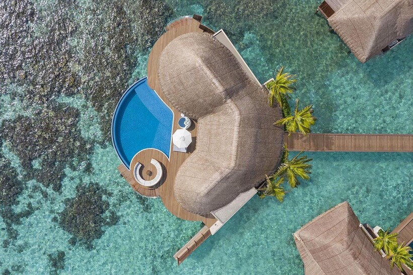Блог - Коктейльная феерия на курорте W Maldives Коктейльная феерия на курорте W Maldives