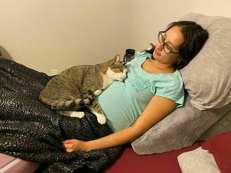 Блог - 15 котов и кошек, которые решили, что няня — их новая работа 15 котов и кошек, которые решили, что няня — их новая работа
