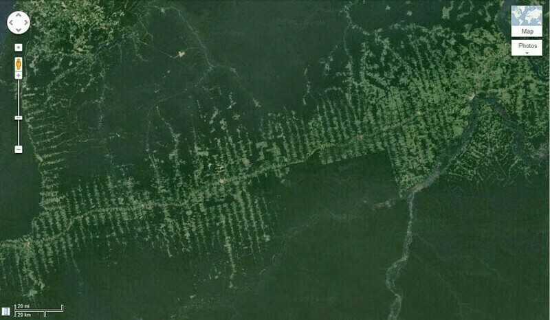 Снимок со спутника, на котором отчетливо видна вырубка вдоль дороги. Фото: Google Maps Снимок со спутника, на котором отчетливо видна вырубка вдоль дороги. Фото: Google Maps