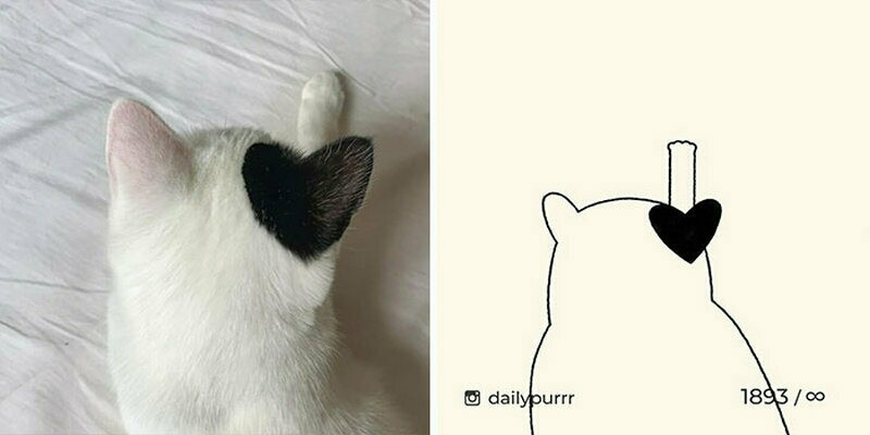 Блог - 15 работ художника, который перерисовывает смешные мемы с кошками 15 работ художника, который перерисовывает смешные мемы с кошками