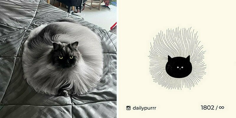 Блог - 15 работ художника, который перерисовывает смешные мемы с кошками 15 работ художника, который перерисовывает смешные мемы с кошками
