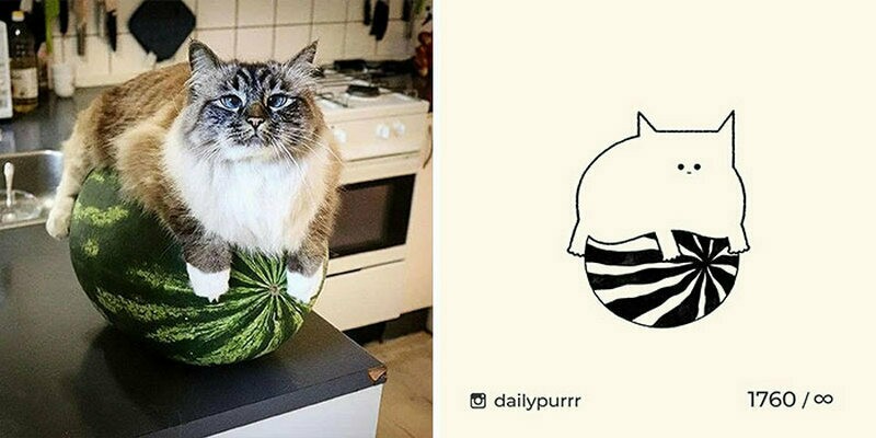 Блог - 15 работ художника, который перерисовывает смешные мемы с кошками 15 работ художника, который перерисовывает смешные мемы с кошками