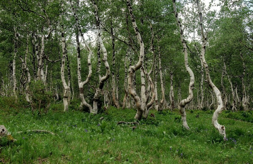 Фото: fotokto.ru Фото: fotokto.ru