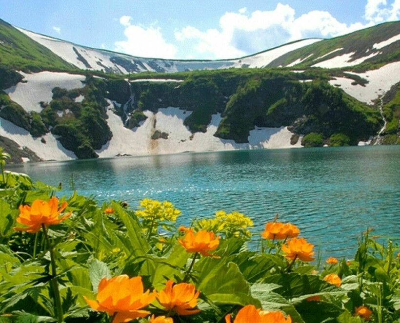 Фото: galeratut.ru Фото: galeratut.ru