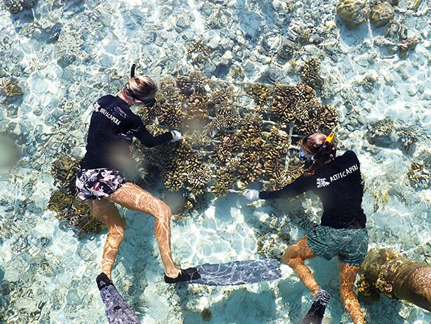 Блог - Sheraton Maldives: путеводитель по лучшему на свете отдыху Sheraton Maldives: путеводитель по лучшему на свете отдыху