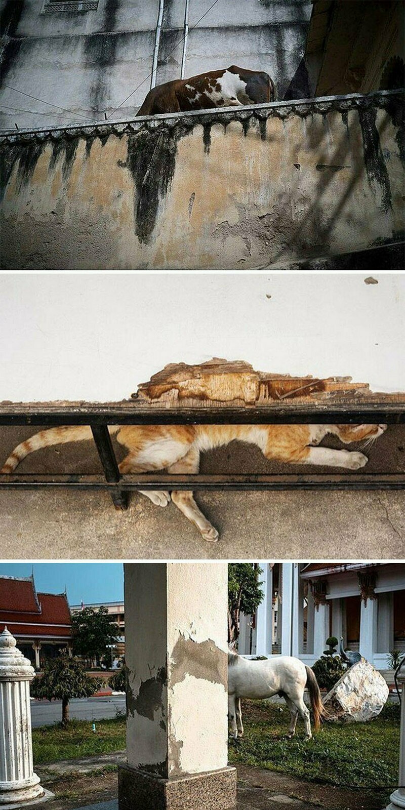 Блог - 14 доказательств, что снимки разных уличных фотографов очень похожи друг на друга 14 доказательств, что снимки разных уличных фотографов очень похожи друг на друга