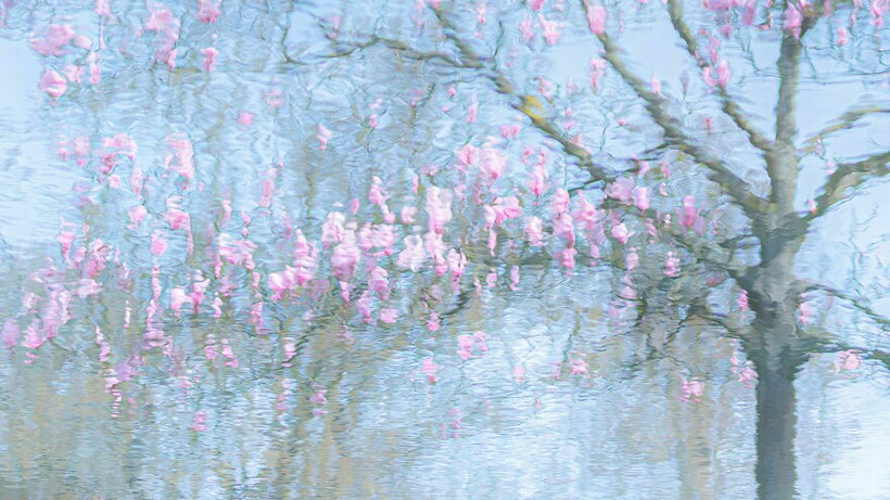 Ria Bloemendaal Ria Bloemendaal