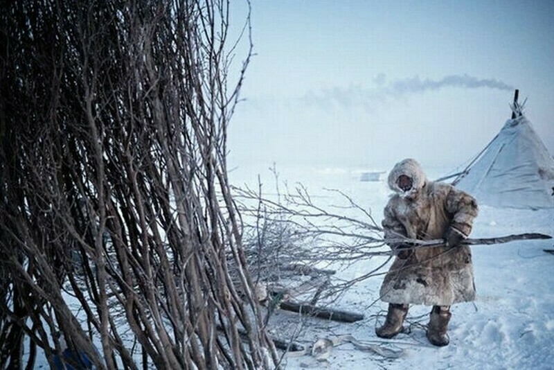 Блог - Итальянец отправился на север Сибири, чтобы увидеть кочевников-оленеводов Итальянец отправился на север Сибири, чтобы увидеть кочевников-оленеводов