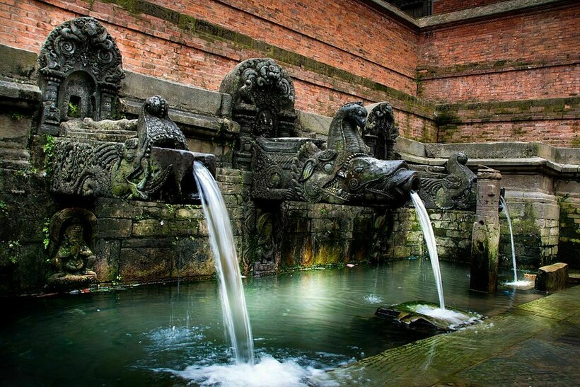 Старейший хити. Фото: wikipedia.org Старейший хити. Фото: wikipedia.org