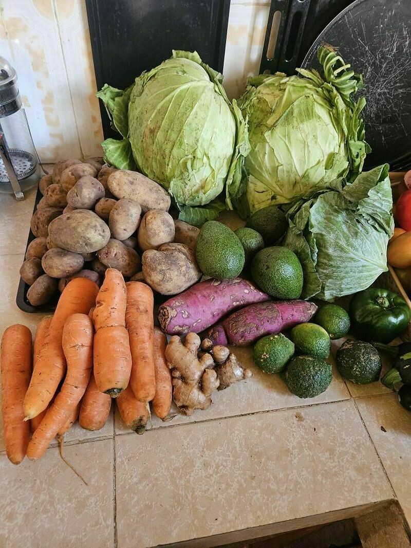 Блог - От Аляски до России: 14 человек показали, сколько стоят продукты там, где они живут От Аляски до России: 14 человек показали, сколько стоят продукты там, где они живут