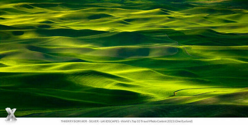 Thierry Bornier Thierry Bornier