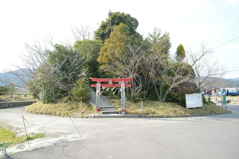 Фото: city.tokushima.tokushima.jp Фото: city.tokushima.tokushima.jp