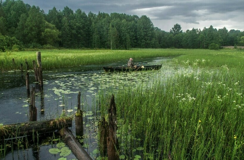Фото: К. Кокошкин Фото: К. Кокошкин