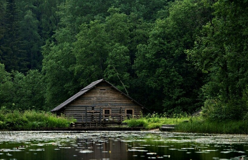 Фото: kenozero.ru Фото: kenozero.ru