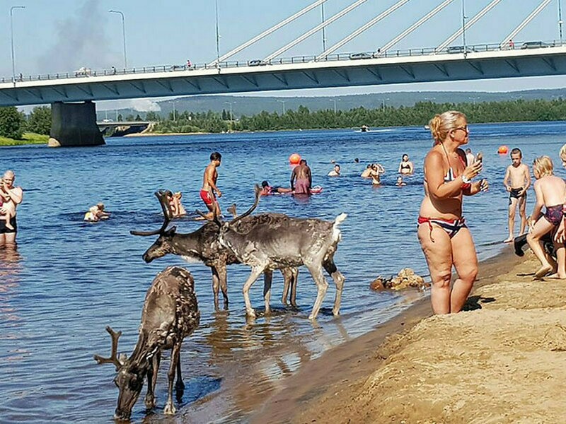 Блог - 14 доказательств, что жара этим летом побила все рекорды 14 доказательств, что жара этим летом побила все рекорды
