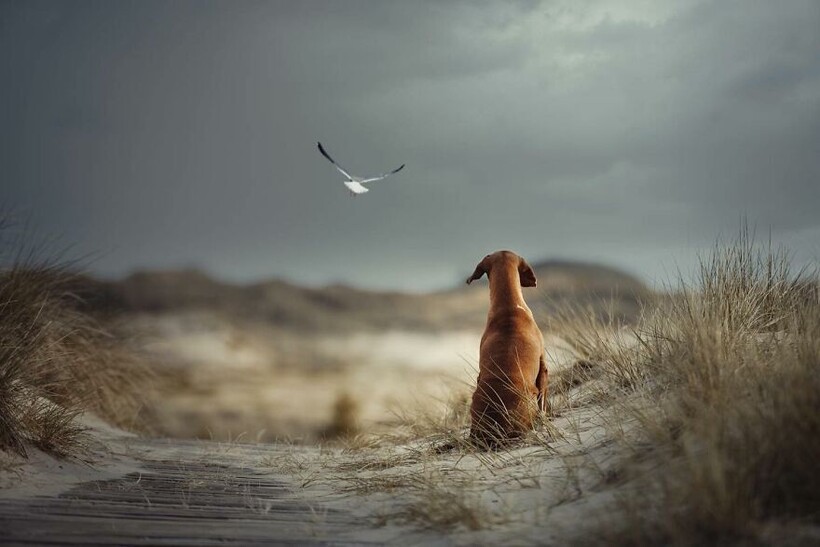 Heike Willers Heike Willers