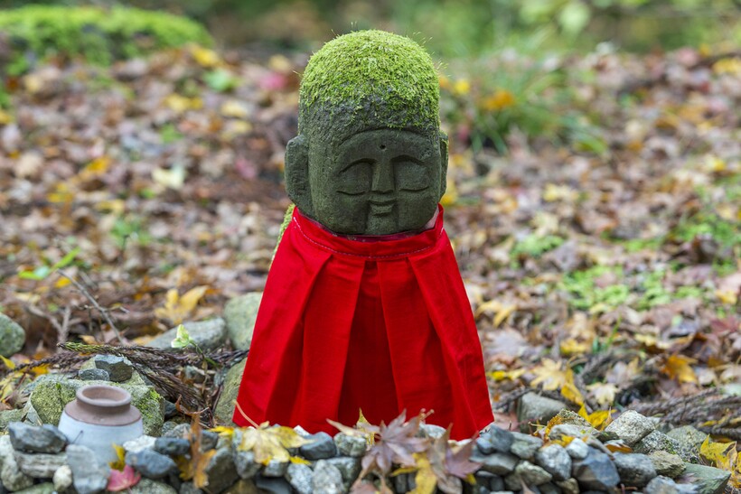Фото: jukurae/shutterstock.com