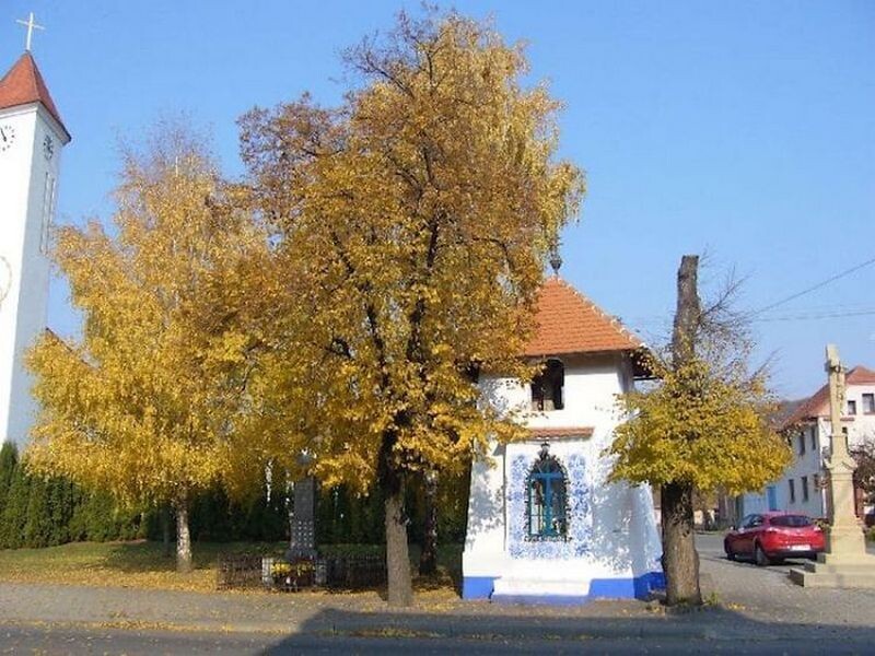 Блог - Пожилая женщина из чешской деревни полвека разрисовывала дома соседей и часовню Пожилая женщина из чешской деревни полвека разрисовывала дома соседей и часовню
