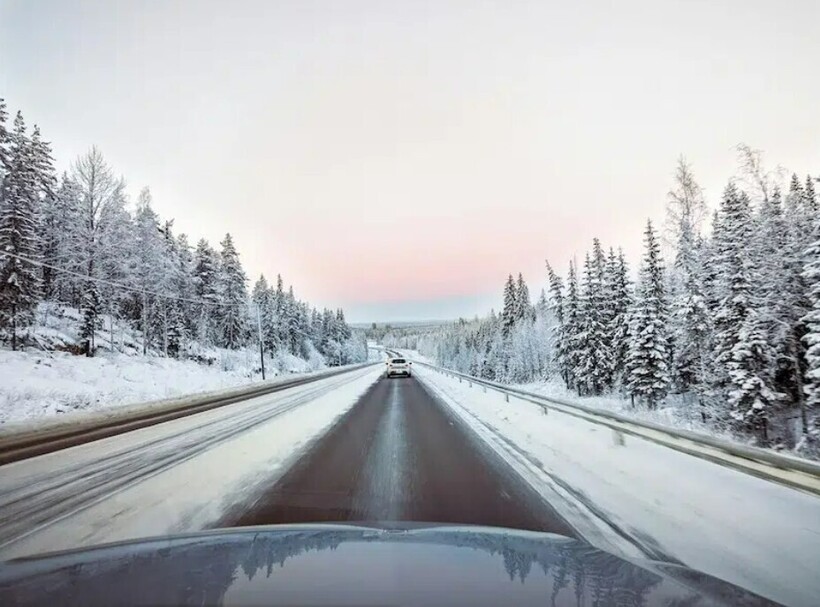 Дорога в Умео. Фото: Shashidhar S/Unsplash Дорога в Умео. Фото: Shashidhar S/Unsplash