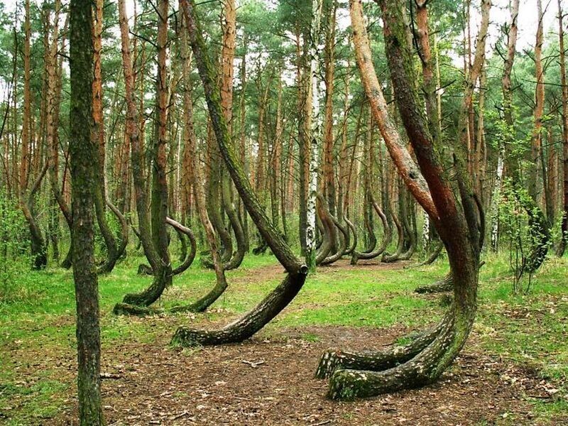 Блог - 14 самых удивительных явлений природы, которые вызывают трепет 14 самых удивительных явлений природы, которые вызывают трепет