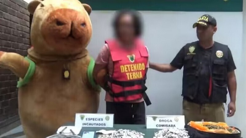 Блог - В Перу полицейский в костюме капибары задержал преступника В Перу полицейский в костюме капибары задержал преступника