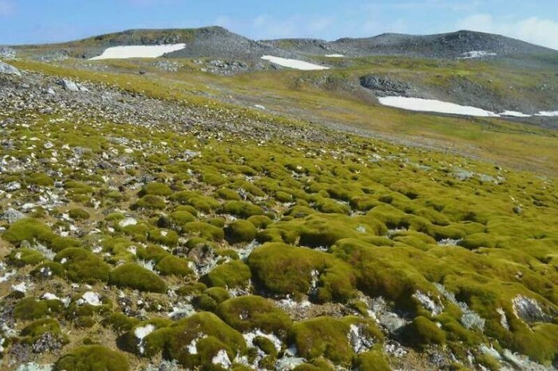 Блог - 15 самых тревожных изображений, которые кажутся сбоем в матрице, но они реальны 15 самых тревожных изображений, которые кажутся сбоем в матрице, но они реальны
