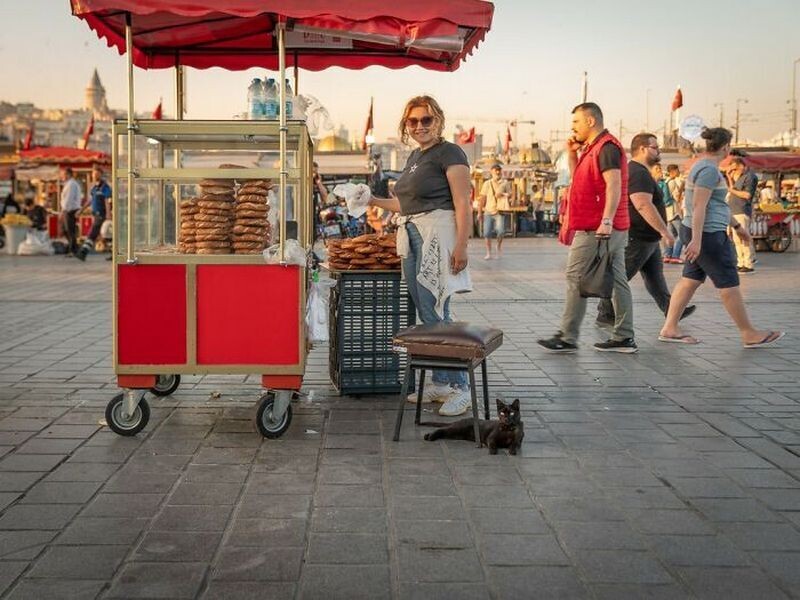 Блог - Стамбульские кошки: 15 хвостатых хранителей города в объективе Марселя Хейнена Стамбульские кошки: 15 хвостатых хранителей города в объективе Марселя Хейнена
