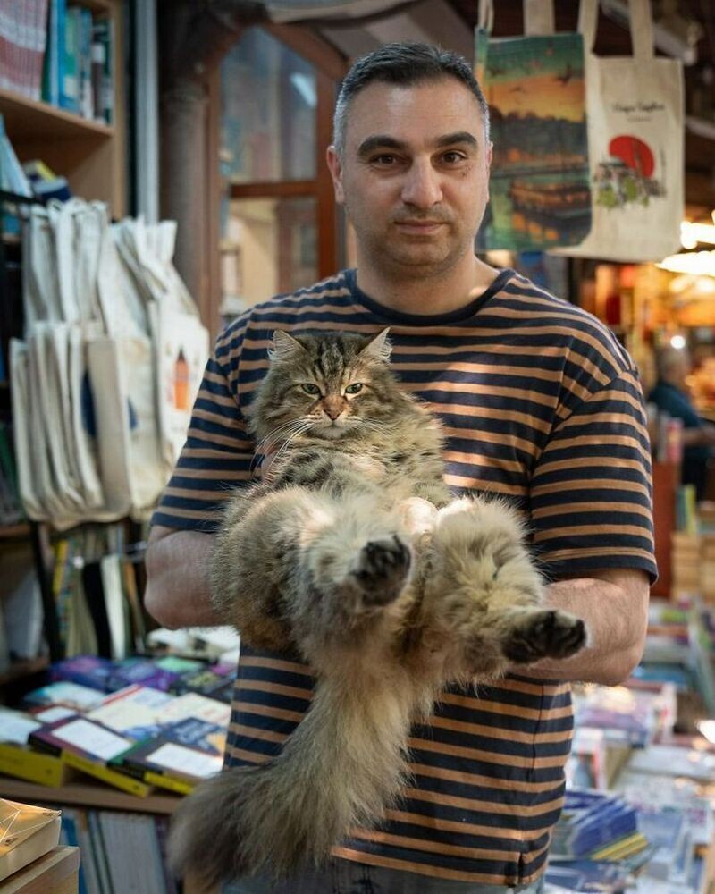 Блог - Стамбульские кошки: 15 хвостатых хранителей города в объективе Марселя Хейнена Стамбульские кошки: 15 хвостатых хранителей города в объективе Марселя Хейнена