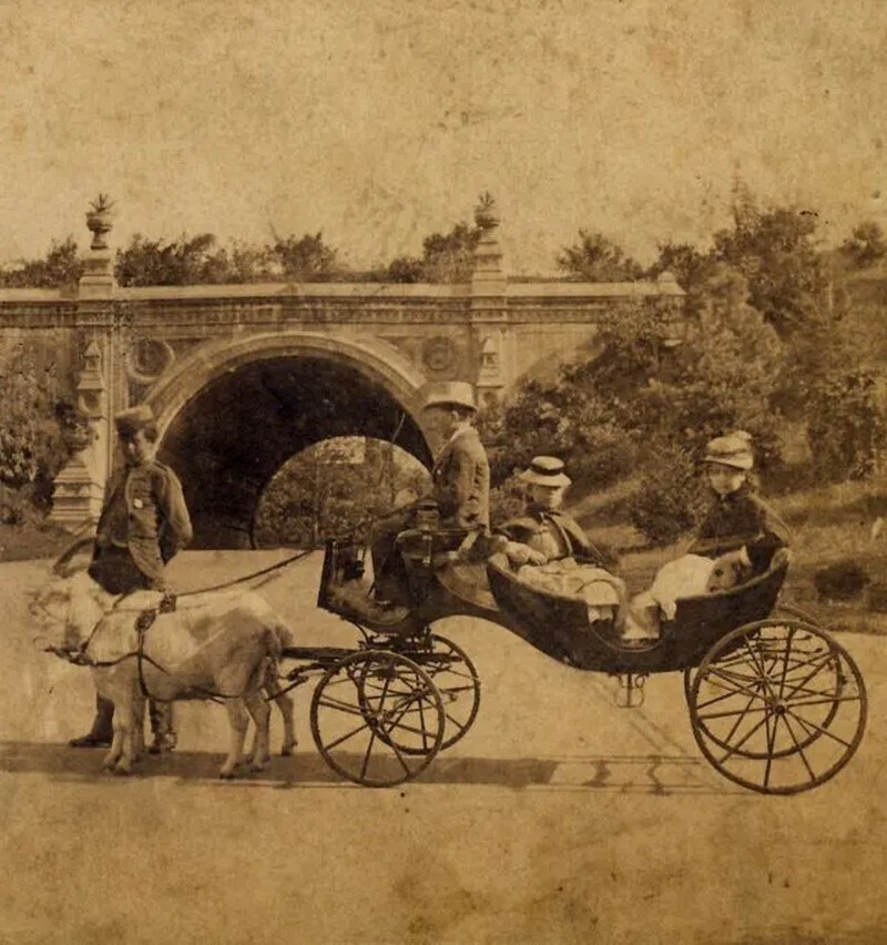Блог - 14 редких снимков Нью-Йорка 1870-х годов, когда Таймс-Сквер еще не существовало 14 редких снимков Нью-Йорка 1870-х годов, когда Таймс-Сквер еще не существовало