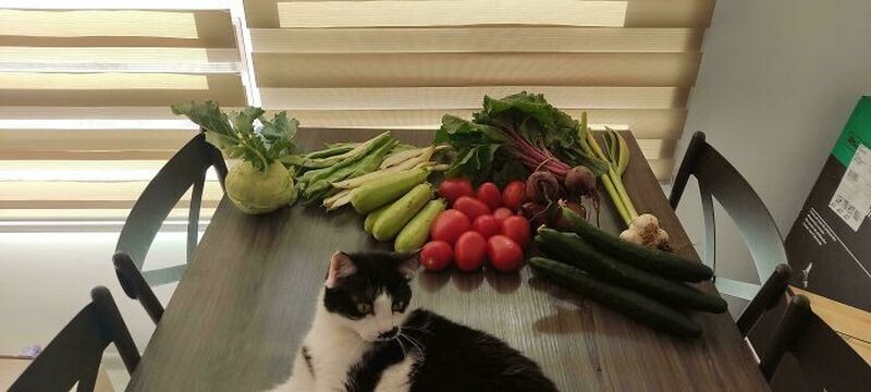 Блог - 15 людей рассказали, сколько стоят продукты в их стране 15 людей рассказали, сколько стоят продукты в их стране