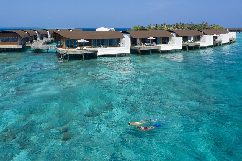 Блог - Невероятный подводный мир The Westin Maldives Miriandhoo Невероятный подводный мир The Westin Maldives Miriandhoo