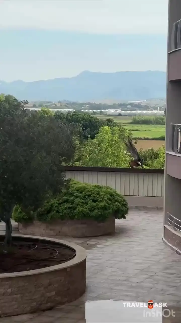 video__preview