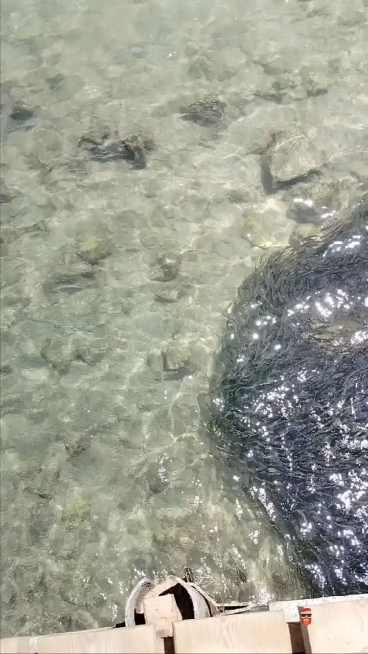 Rehana Sharm Resort Aqua Park & Spa