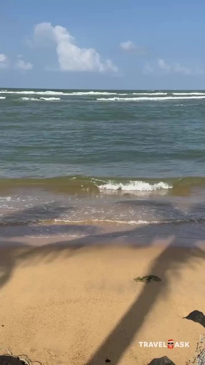 Cinnamon Bey (Ex. Chaaya Bey)