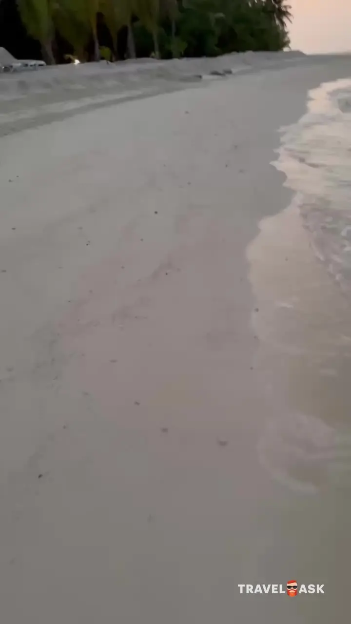 video__preview