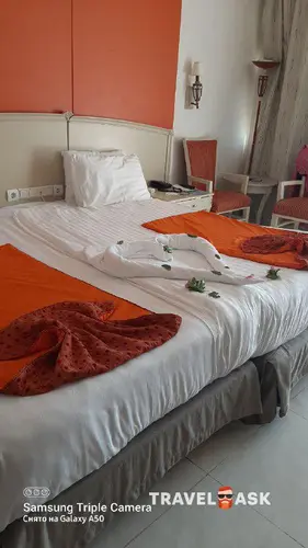 Concorde El Salam Front Area