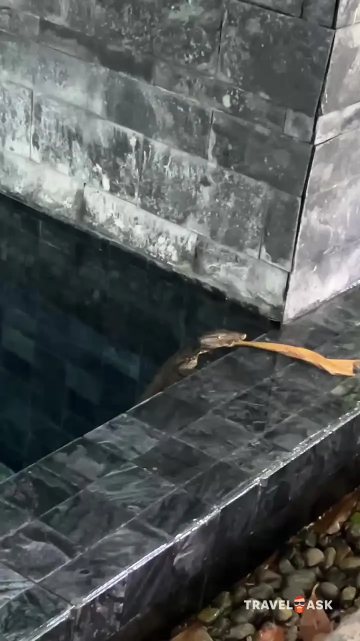 Kalima Resort & Villas Khao Lak