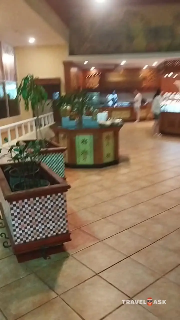 video__preview