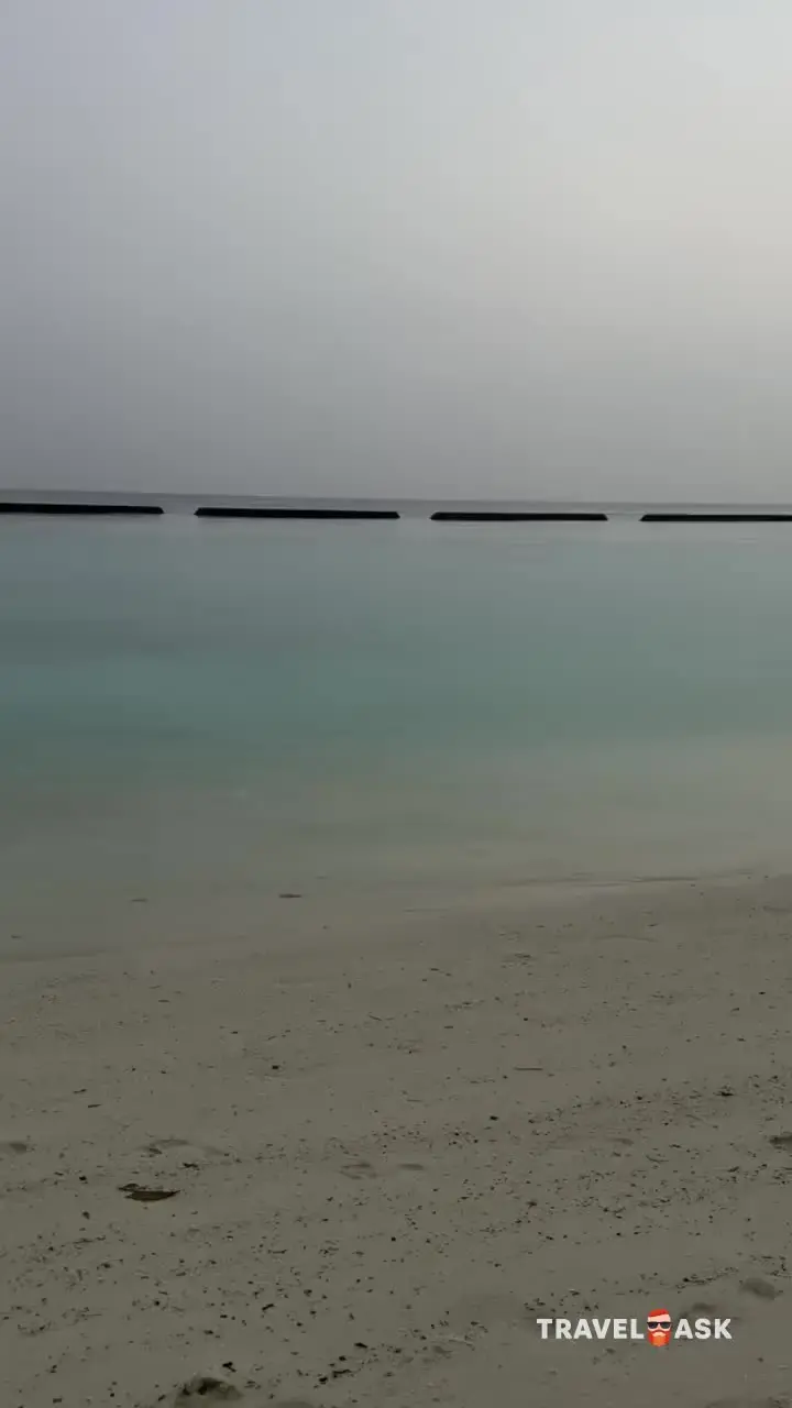 video__preview