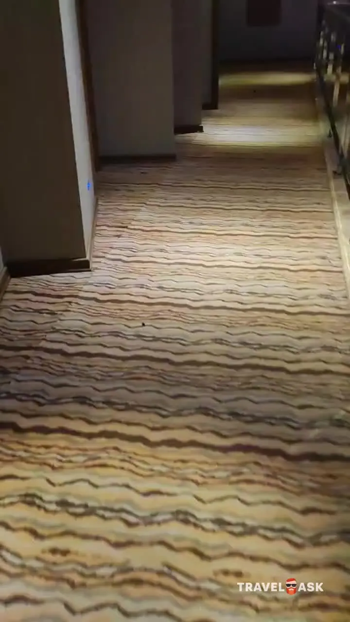 video__preview