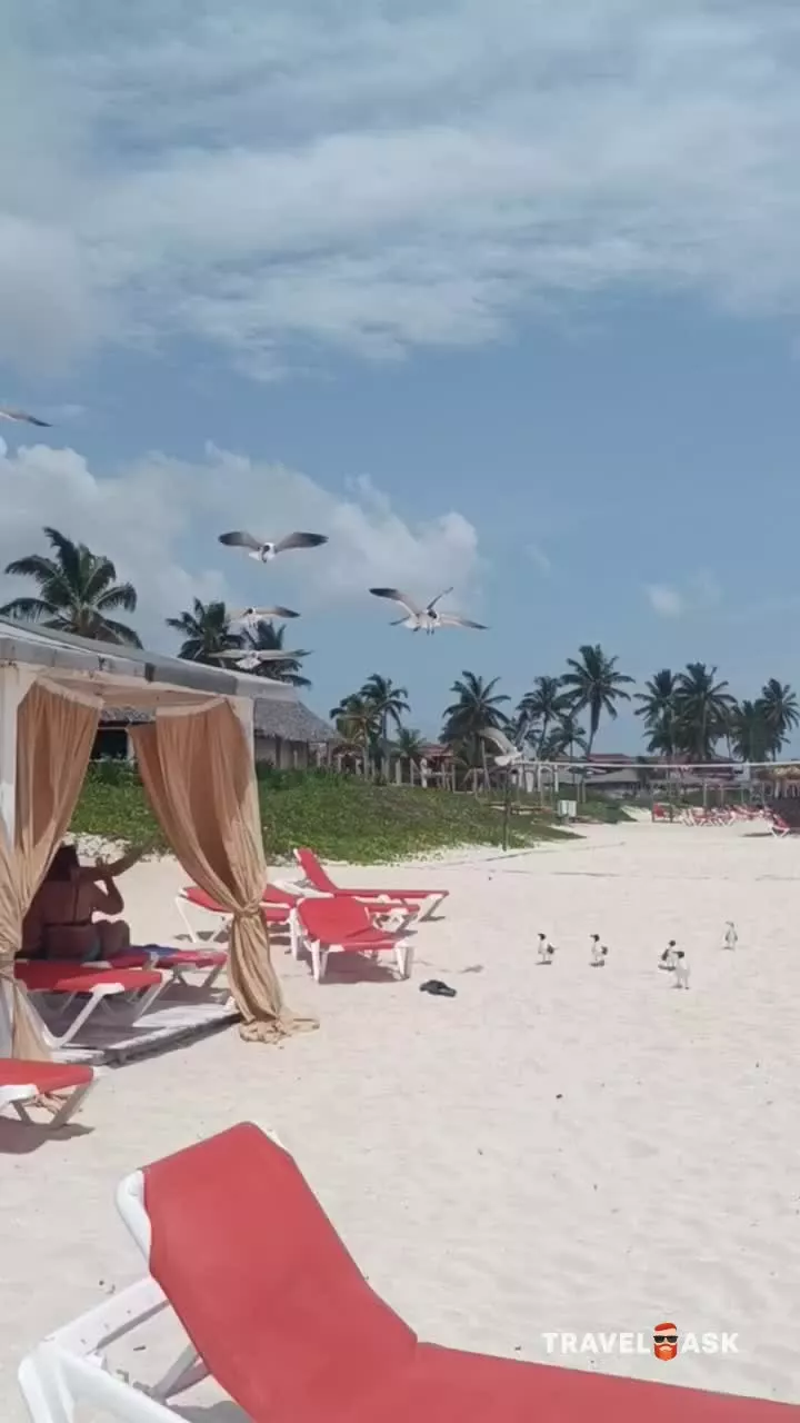 video__preview