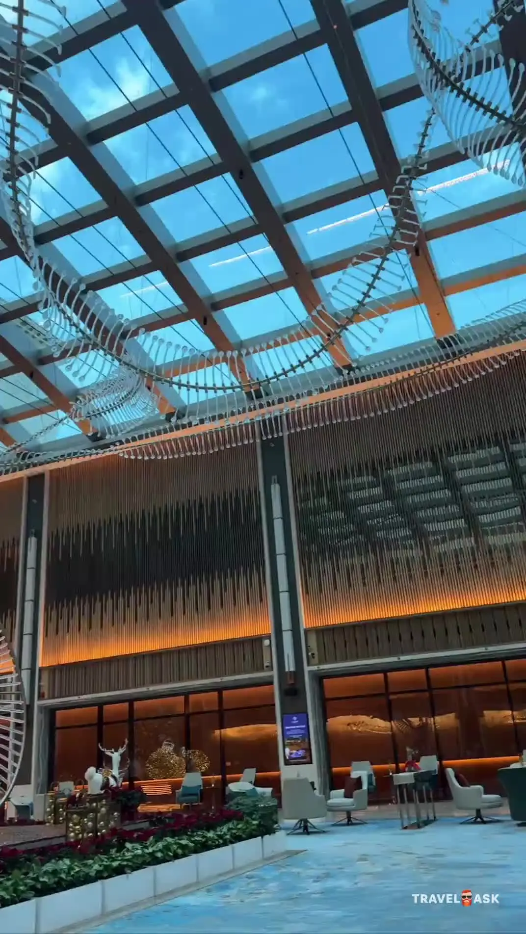 video__preview