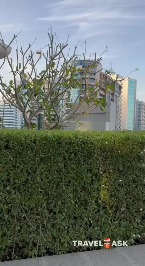 video__preview
