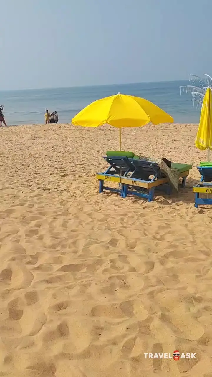 Adamo The Bellus (Ex. Sunkissed)