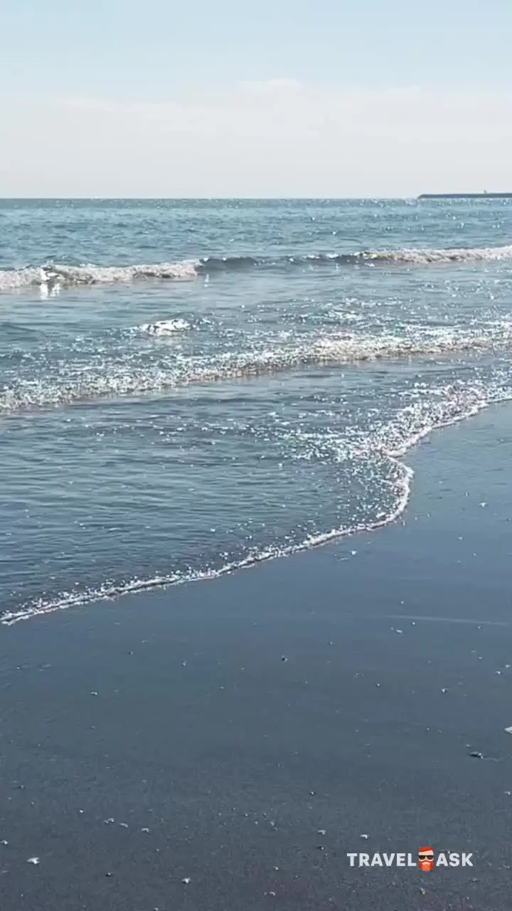 video__preview