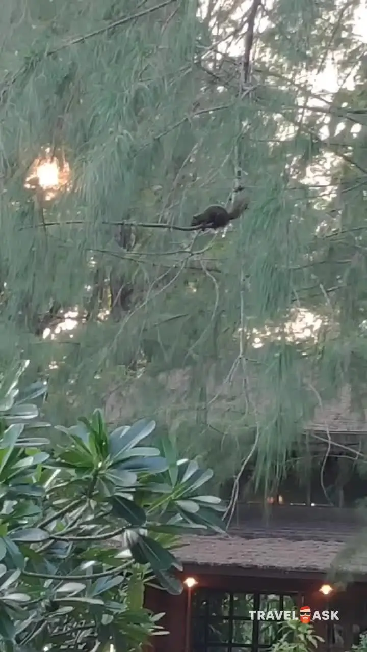 Naiyang Park Resort