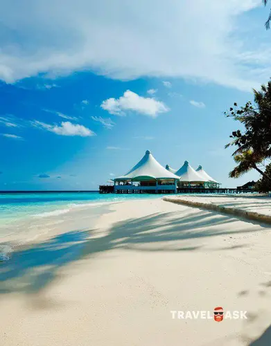 Safari Island Resort & Spa