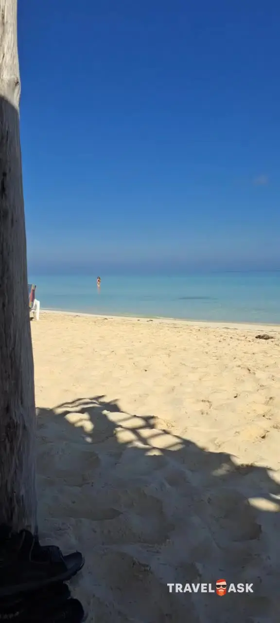 video__preview